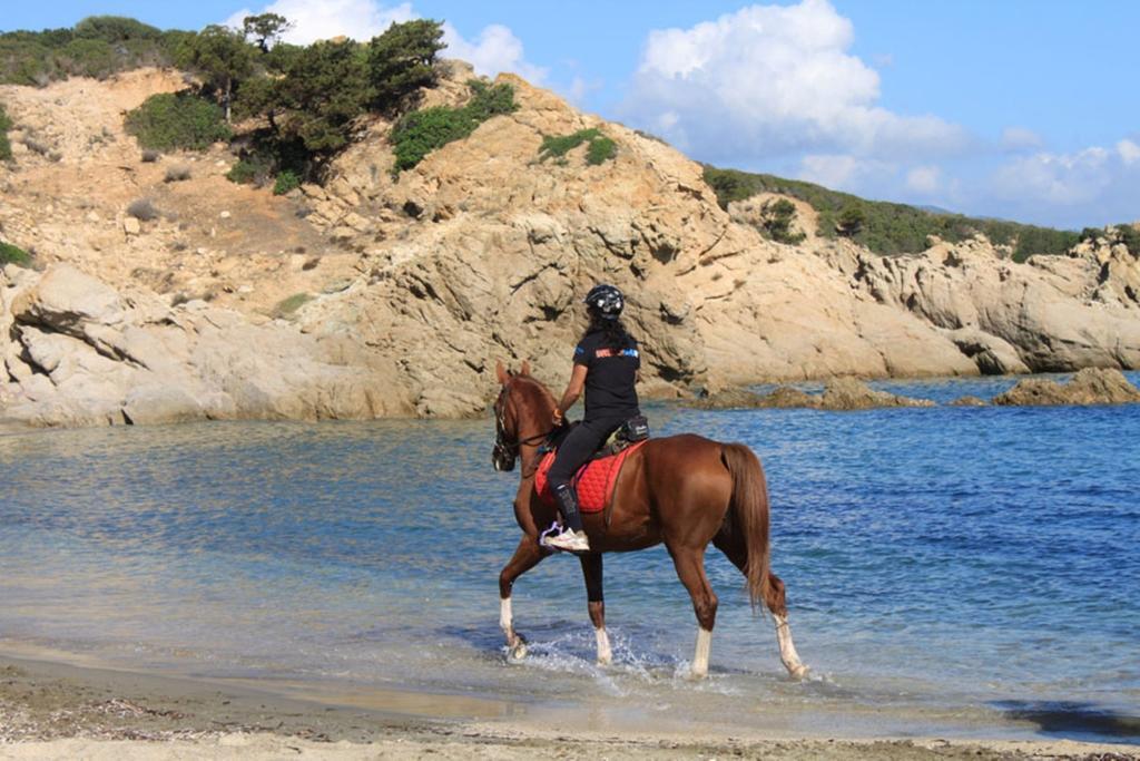 Agriturismo Sarrabus Konuk evi San Priamo Dış mekan fotoğraf