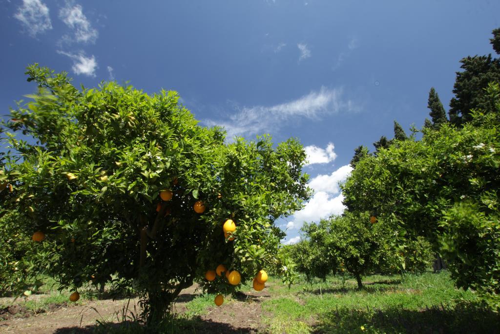 Agriturismo Sarrabus San Priamo Dış mekan fotoğraf