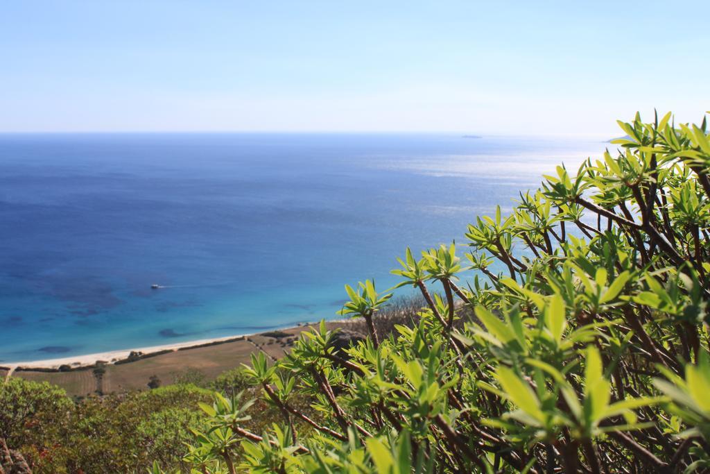 Agriturismo Sarrabus Konuk evi San Priamo Dış mekan fotoğraf